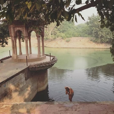 Vihar Van / Bihari Ji Mandir Or Gaushala