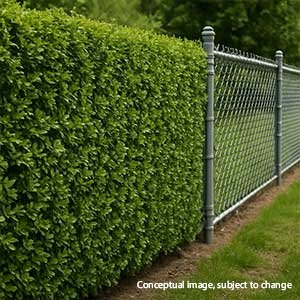 Green Hedges & Wire Fancing of Each Farm