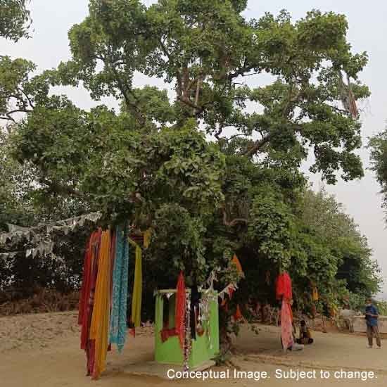 Orginal cheer ghaat brij 84 kos yatra